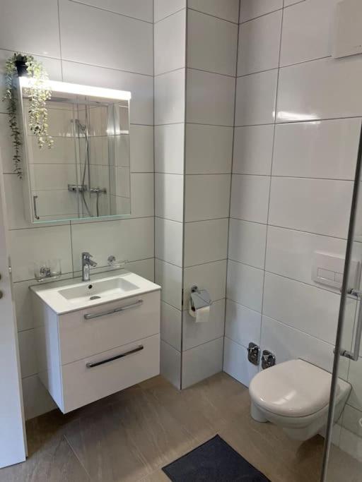 Apartment Im Zentrum St Gallen St. Gallen